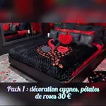Loft Romantique Hammam Privatif Playroom 4*